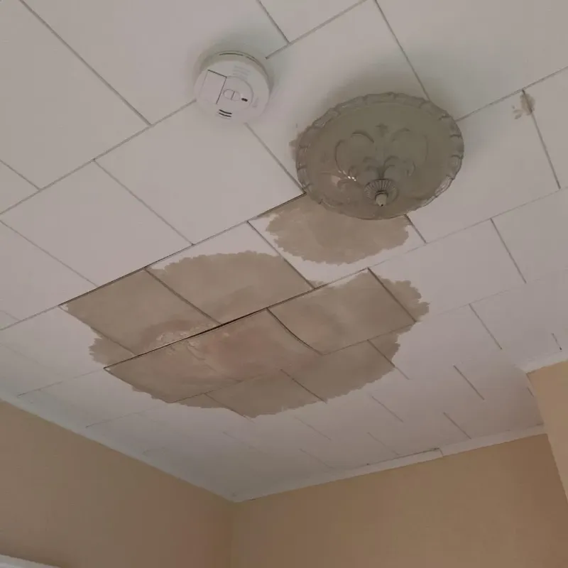 Ceiling Water Damage Repair in Powers Lake, WI