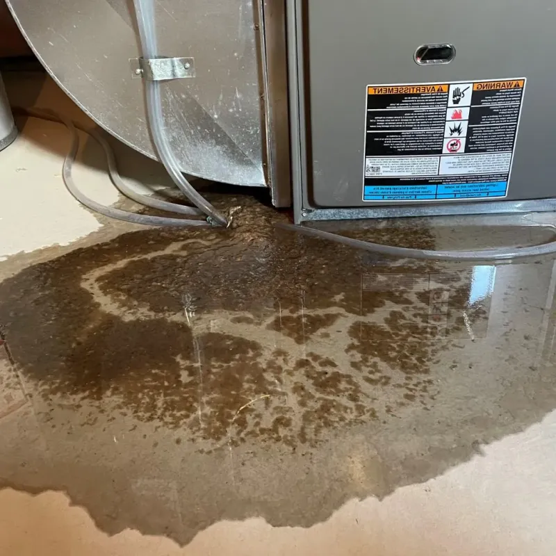 Pipe Burst and Leak Restoration in Powers Lake, WI